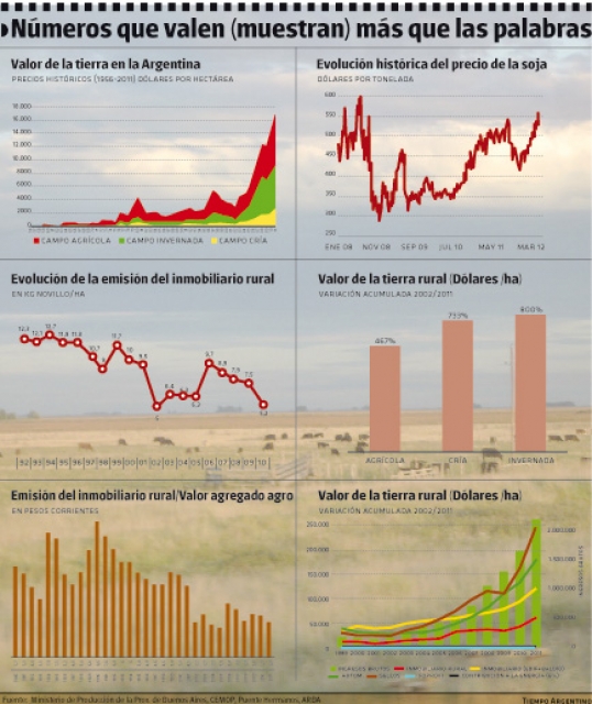 120520_Grafico_campo